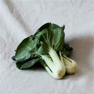 Bok Choy Certified Organic
