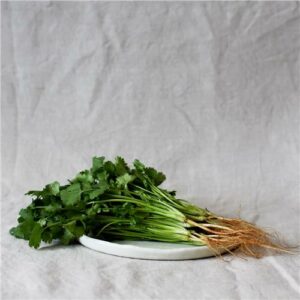 Coriander Bunch Certified Organic