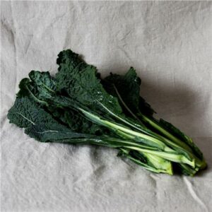 Kale Black/ Tuscan Certified Organic