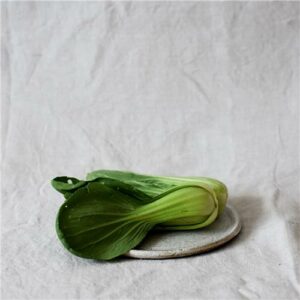 Pak Choy Certified Organic