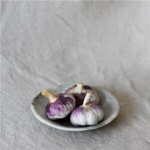 Garlic PURPLE Certified Organic