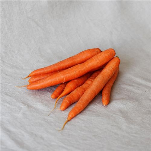 Carrots Certified Organic
