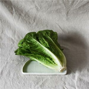Lettuce COS Certified Organic