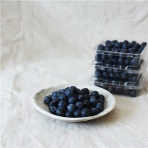 Blueberries Pun  125g  Cert Organic