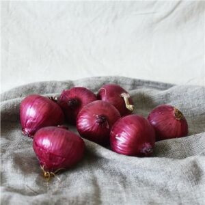 Onions Red Certified Organic