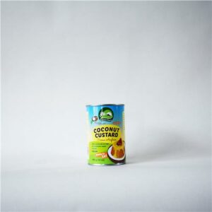 Nature's Charm Custard Coconut 400g