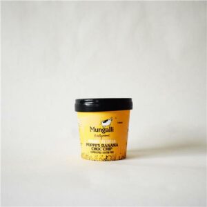 Mungalli Creek Icecream  Poppi's Banana Choc Chip 110ml