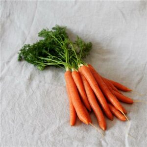 Carrots Dutch Heritage Certified Organic