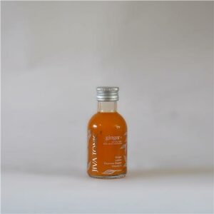 Jiva Tonics Ginger 100ml