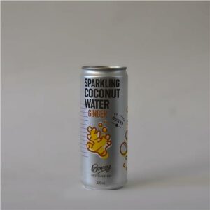 Bonsoy Sparkling Coconut Water Ginger 320ml